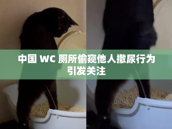 中国 WC 厕所偷窥他人撒尿行为引发关注