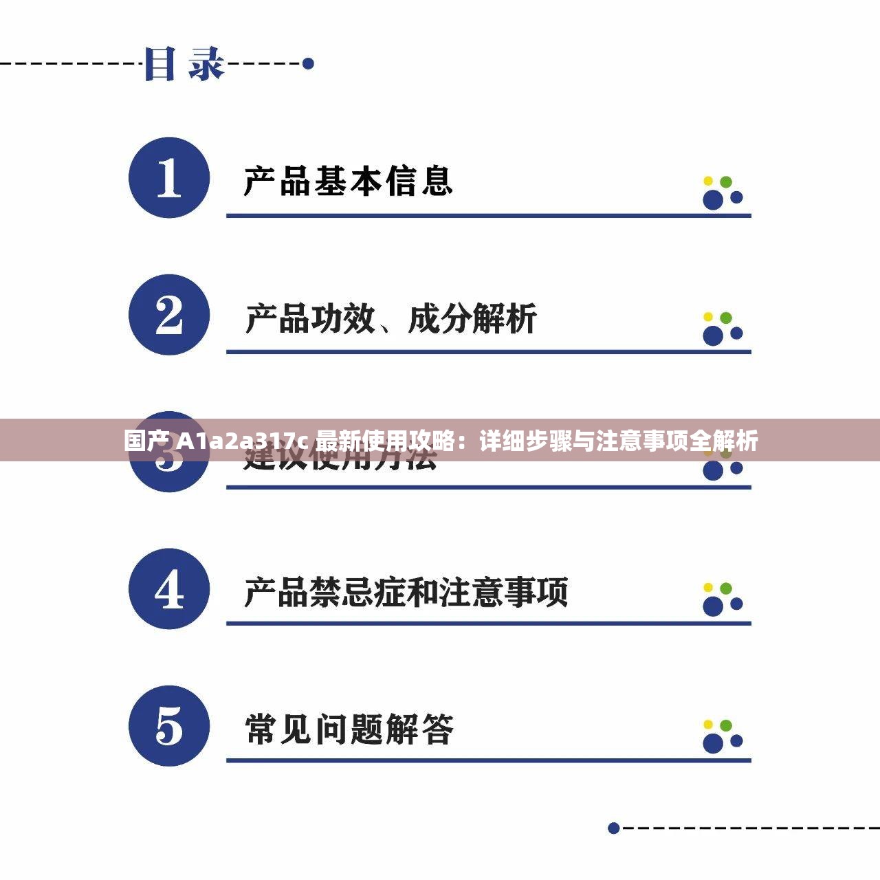 国产 A1a2a317c 最新使用攻略：详细步骤与注意事项全解析