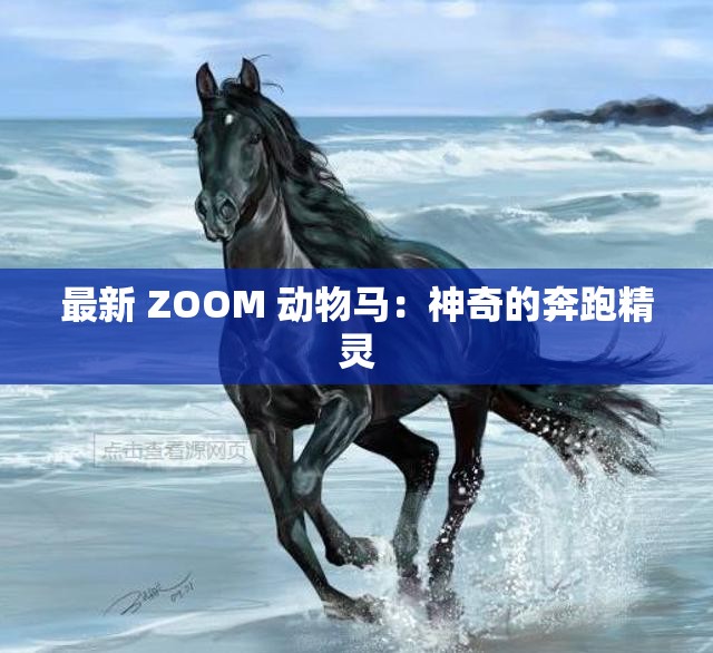 最新 ZOOM 动物马：神奇的奔跑精灵