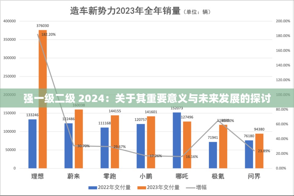 强一级二级 2024：关于其重要意义与未来发展的探讨