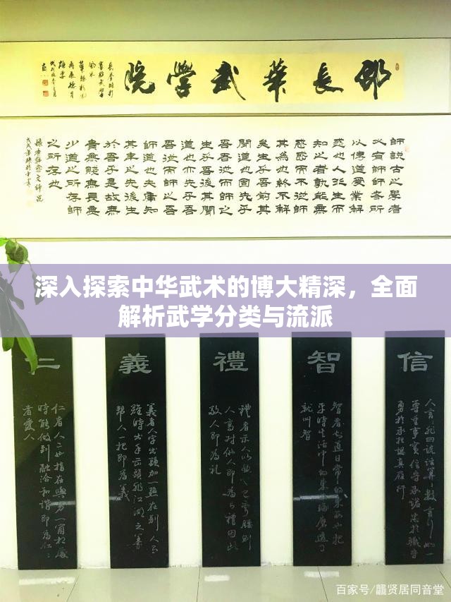 深入探索中华武术的博大精深，全面解析武学分类与流派