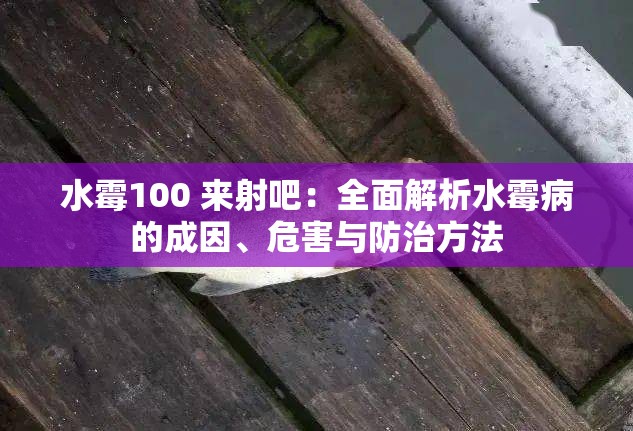 水霉100 来射吧：全面解析水霉病的成因、危害与防治方法