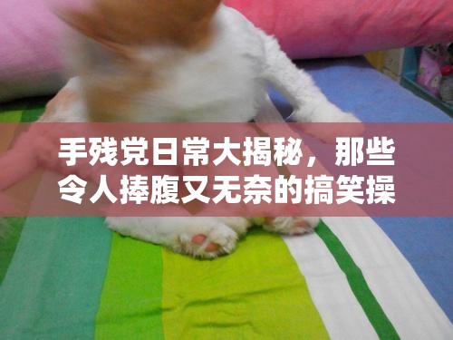 手残党日常大揭秘，那些令人捧腹又无奈的搞笑操作集锦