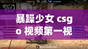 暴躁少女 csgo 视频第一视角：带你领略枪林弹雨的刺激战场