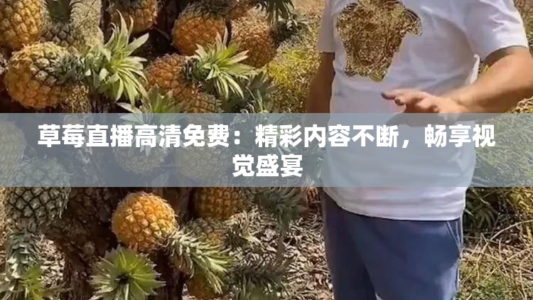 草莓直播高清免费：精彩内容不断，畅享视觉盛宴