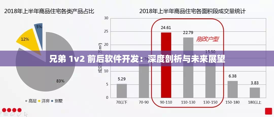 兄弟 1v2 前后软件开发：深度剖析与未来展望