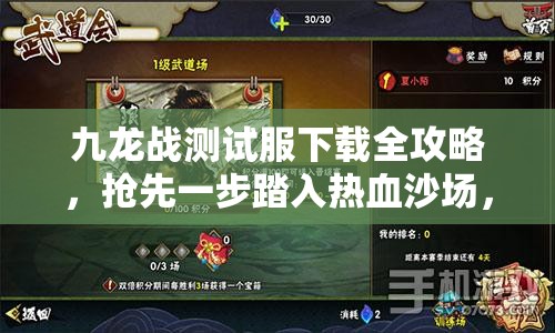 九龙战测试服下载全攻略，抢先一步踏入热血沙场，领略极致战斗体验