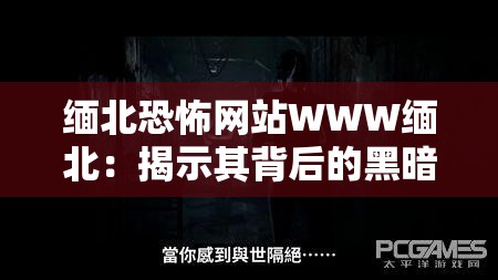 缅北恐怖网站WWW缅北：揭示其背后的黑暗与危险