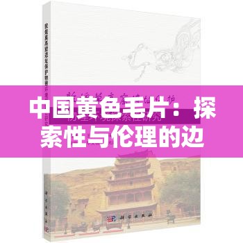 中国黄色毛片：探索性与伦理的边界