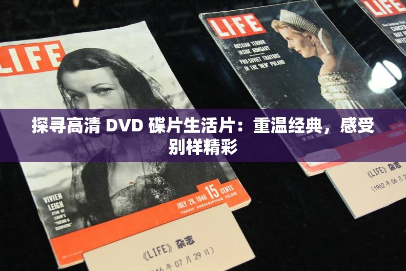 探寻高清 DVD 碟片生活片：重温经典，感受别样精彩