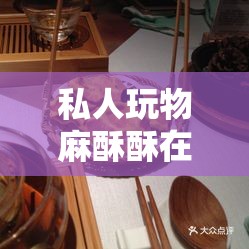 私人玩物麻酥酥在线观看：极致感官体验等你来享