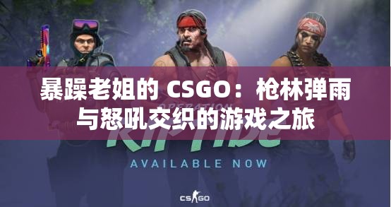 暴躁老姐的 CSGO：枪林弹雨与怒吼交织的游戏之旅