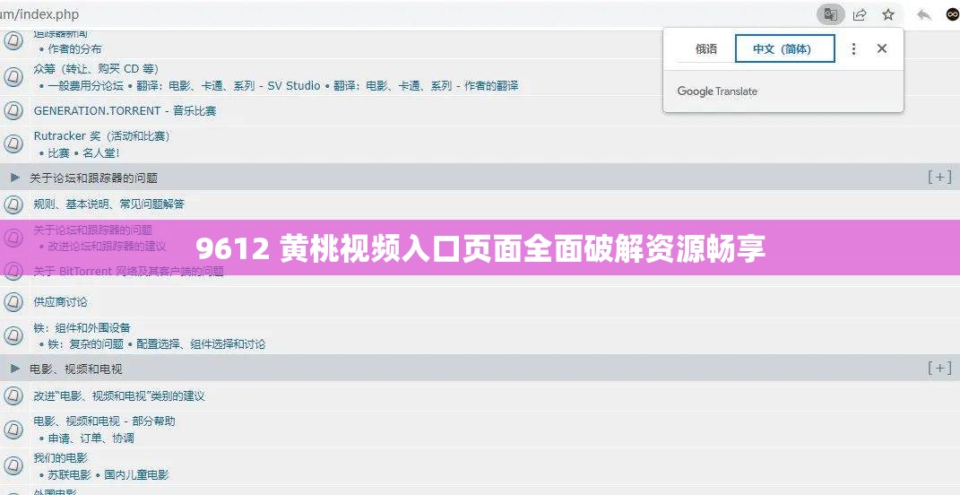 9612 黄桃视频入口页面全面破解资源畅享