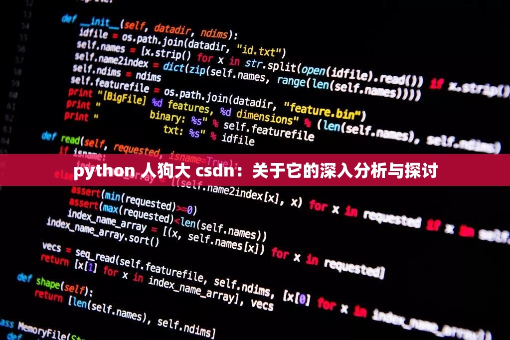 python 人狗大 csdn：关于它的深入分析与探讨