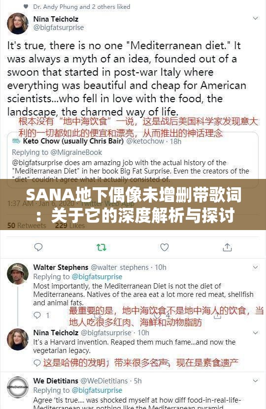 SANA地下偶像未增删带歌词：关于它的深度解析与探讨