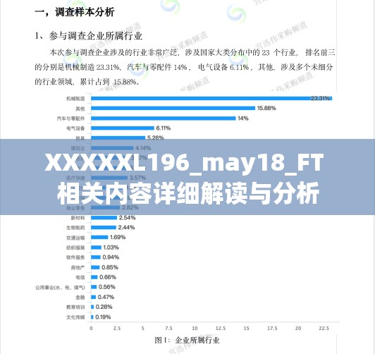 XXXXXL196_may18_FT 相关内容详细解读与分析