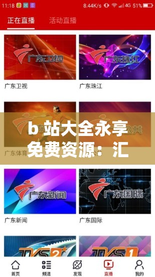 b 站大全永享免费资源：汇聚精彩内容无收费限制