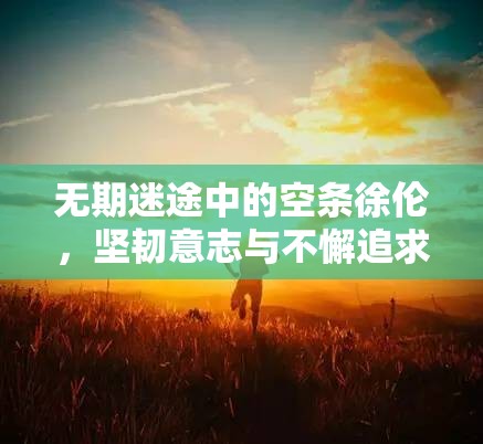 无期迷途中的空条徐伦，坚韧意志与不懈追求自由的深刻化身