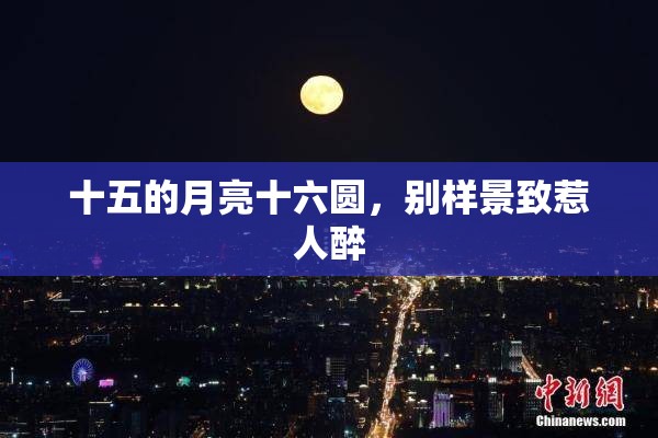 十五的月亮十六圆，别样景致惹人醉