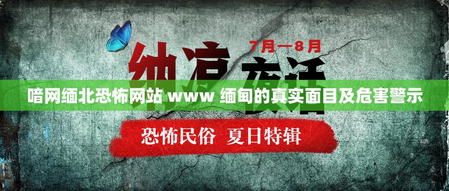 喑网缅北恐怖网站 www 缅甸的真实面目及危害警示