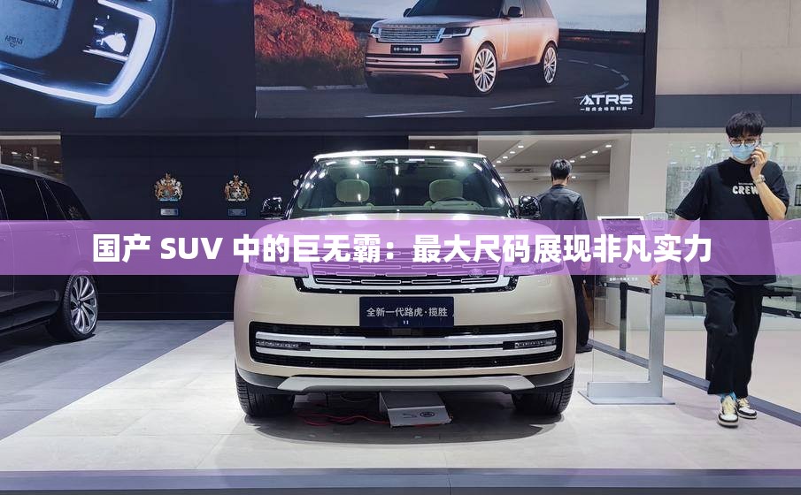 国产 SUV 中的巨无霸：最大尺码展现非凡实力