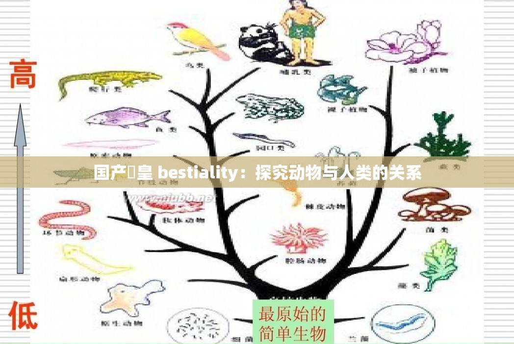 国产嘼皇 bestiality：探究动物与人类的关系