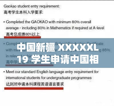 中国新疆 XXXXXL19 学生申请中国相关情况探究