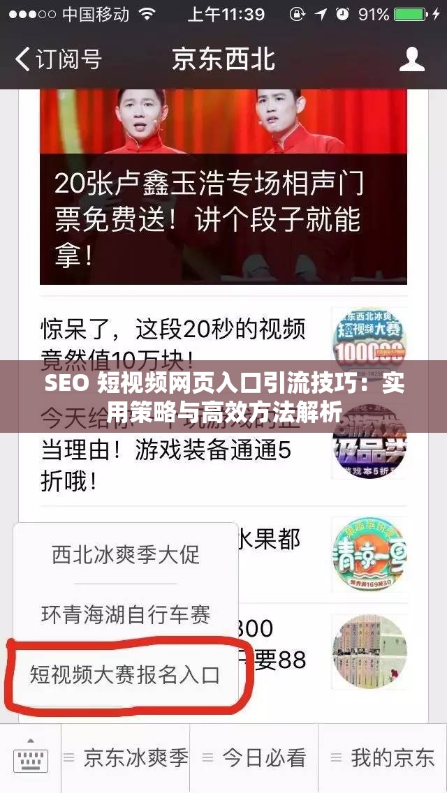 SEO 短视频网页入口引流技巧：实用策略与高效方法解析