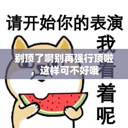 别顶了啊别再强行顶啦，这样可不好哦