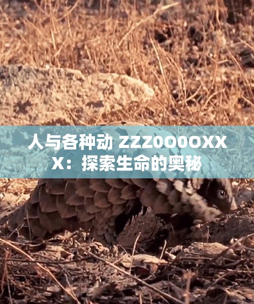 人与各种动 ZZZ0O0OXXX：探索生命的奥秘