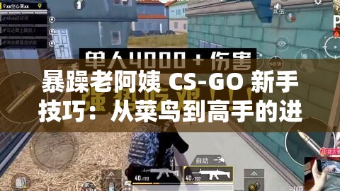 暴躁老阿姨 CS-GO 新手技巧：从菜鸟到高手的进阶之路