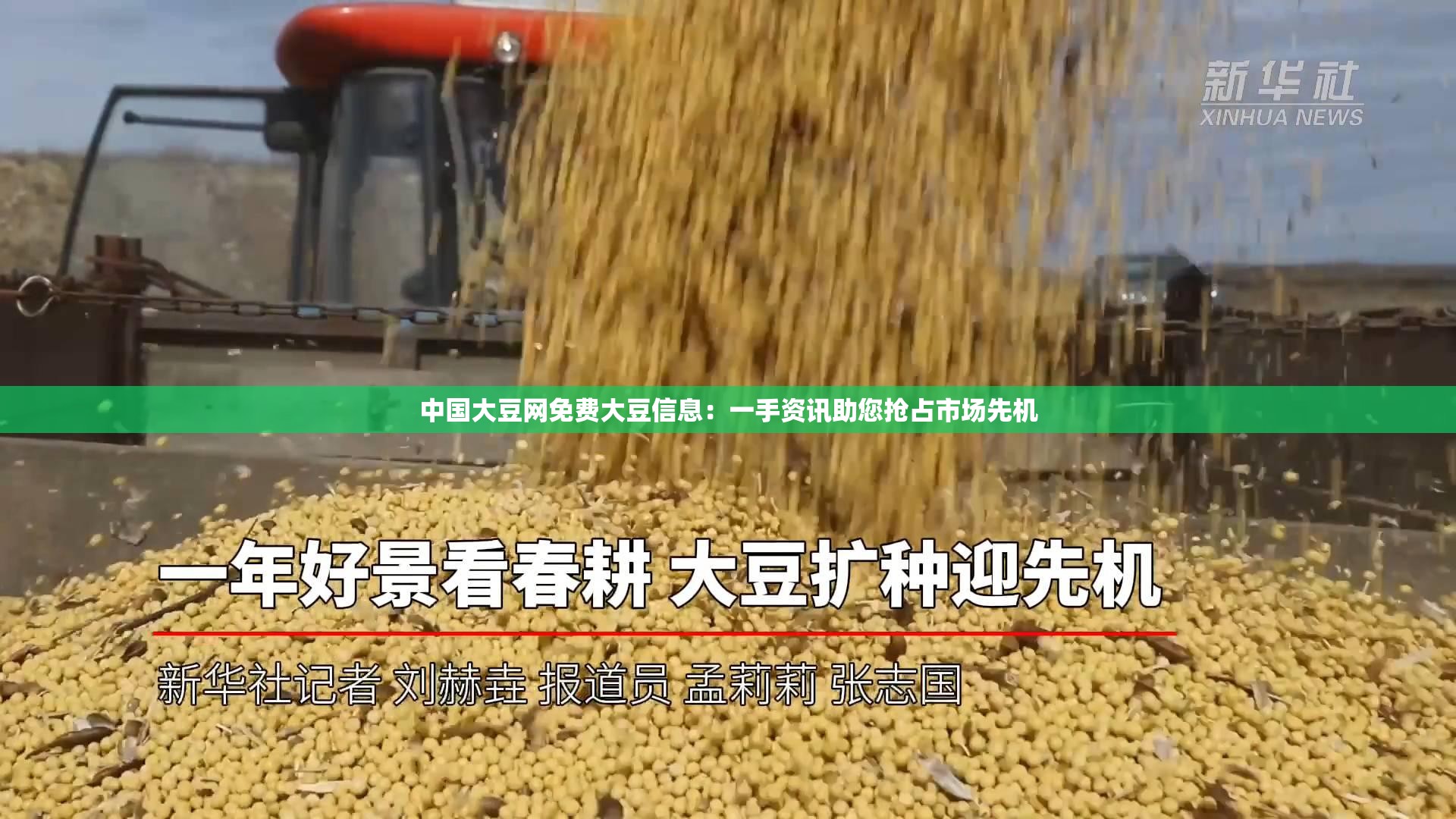 中国大豆网免费大豆信息：一手资讯助您抢占市场先机