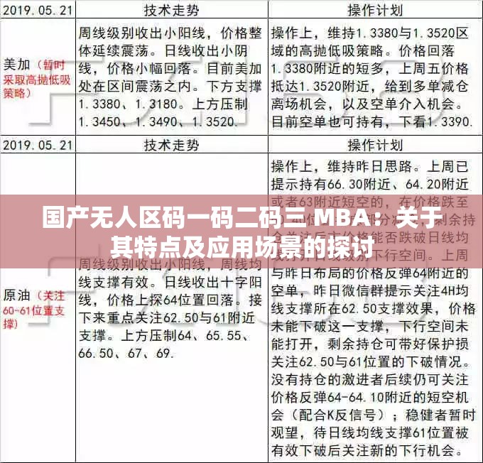 国产无人区码一码二码三 MBA：关于其特点及应用场景的探讨