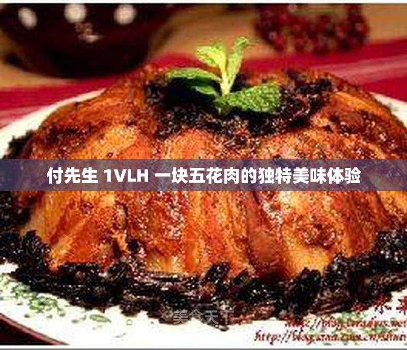 付先生 1VLH 一块五花肉的独特美味体验