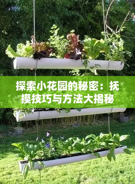 探索小花园的秘密：抚摸技巧与方法大揭秘