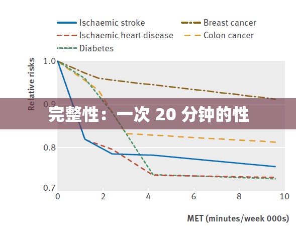 完整性：一次 20 分钟的性