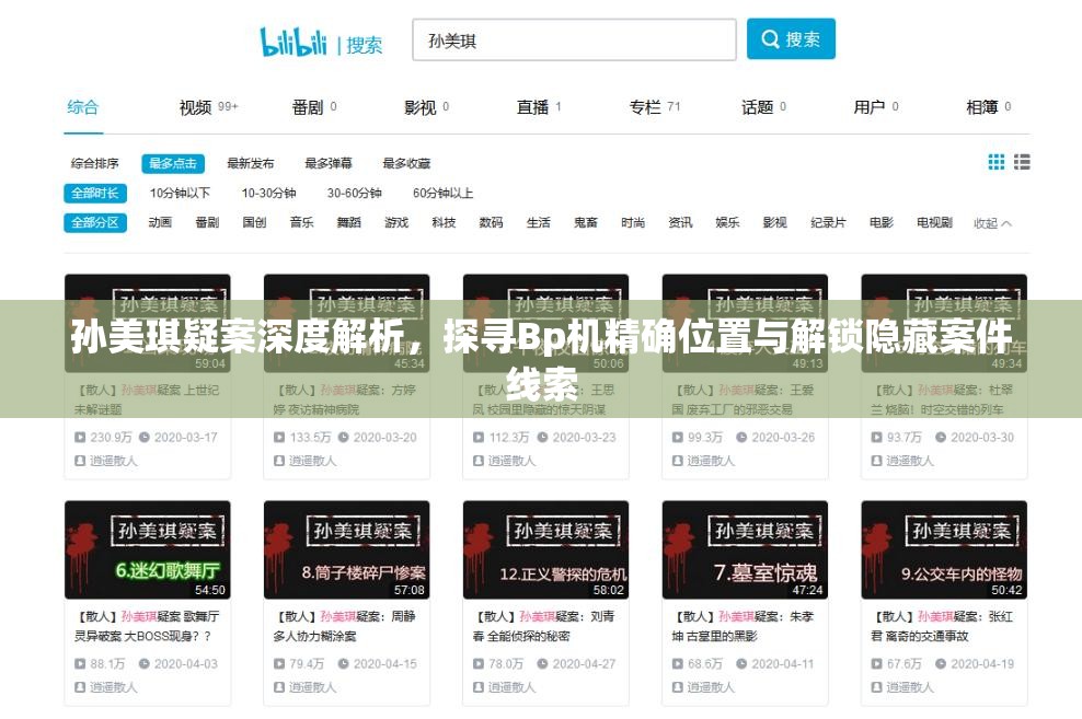 孙美琪疑案深度解析，探寻Bp机精确位置与解锁隐藏案件线索