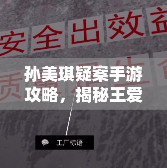 孙美琪疑案手游攻略，揭秘王爱国中奖位置，掌握线索管理的重要性与技巧