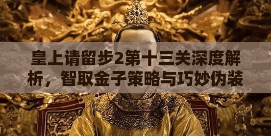 皇上请留步2第十三关深度解析，智取金子策略与巧妙伪装技巧