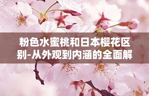 粉色水蜜桃和日本樱花区别-从外观到内涵的全面解析