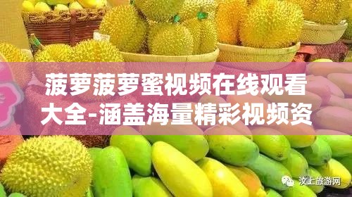 菠萝菠萝蜜视频在线观看大全-涵盖海量精彩视频资源等你来