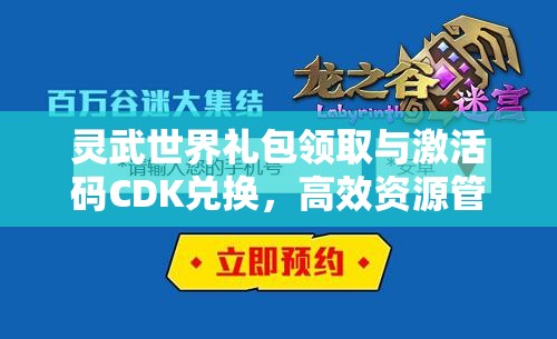 灵武世界礼包领取与激活码CDK兑换，高效资源管理的艺术与策略