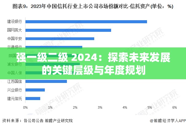 强一级二级 2024：探索未来发展的关键层级与年度规划