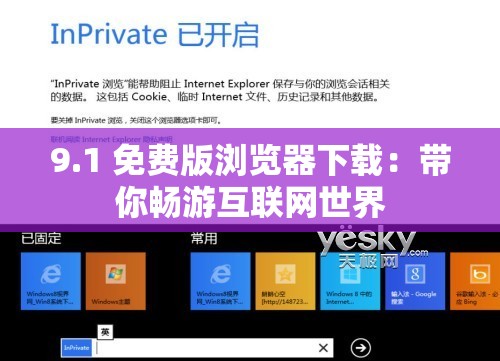 9.1 免费版浏览器下载：带你畅游互联网世界
