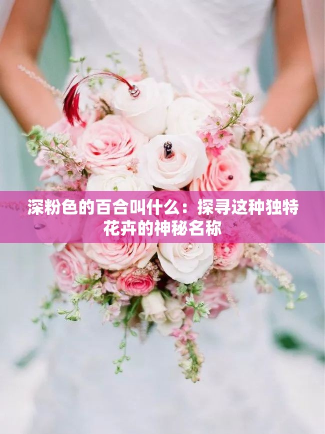 深粉色的百合叫什么：探寻这种独特花卉的神秘名称