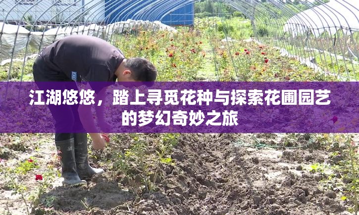 江湖悠悠，踏上寻觅花种与探索花圃园艺的梦幻奇妙之旅