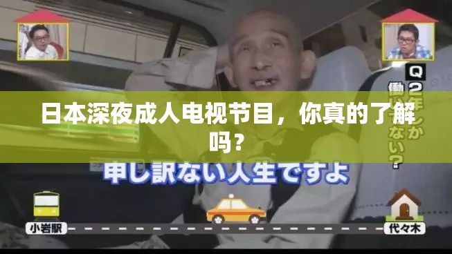 日本深夜成人电视节目，你真的了解吗？