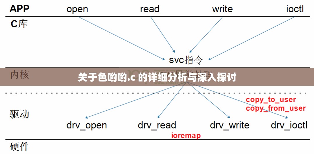 关于色哟哟.c 的详细分析与深入探讨