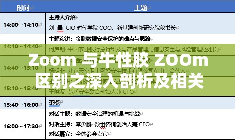 Zoom 与牛性胶 ZOOm 区别之深入剖析及相关探讨