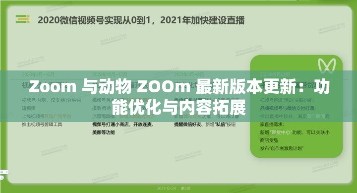 Zoom 与动物 ZOOm 最新版本更新：功能优化与内容拓展